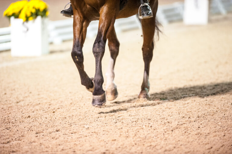 Pierre St Jacques (USA)