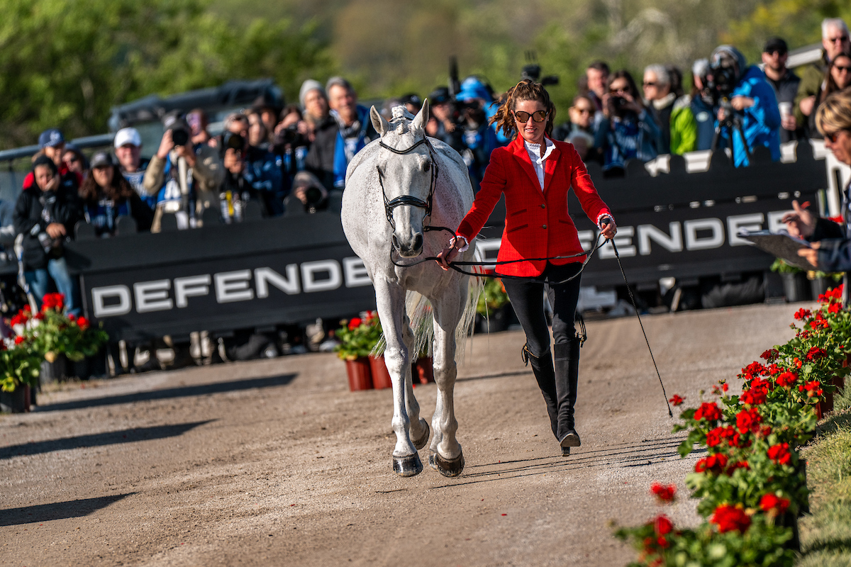 CORVETT
Emily Hamel
USA