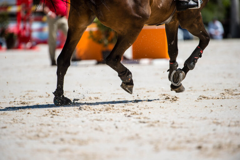 BugattiKady AbrahamsonUSA