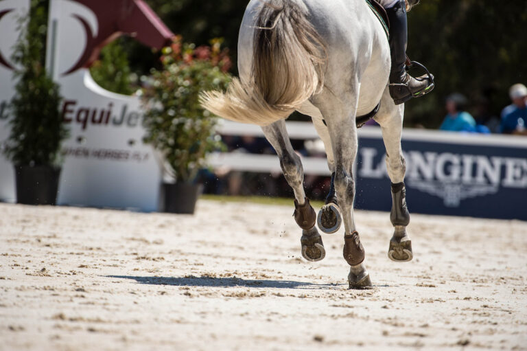 Una du Keske ZPaulo Sergio Mateo Santana FilhoESA