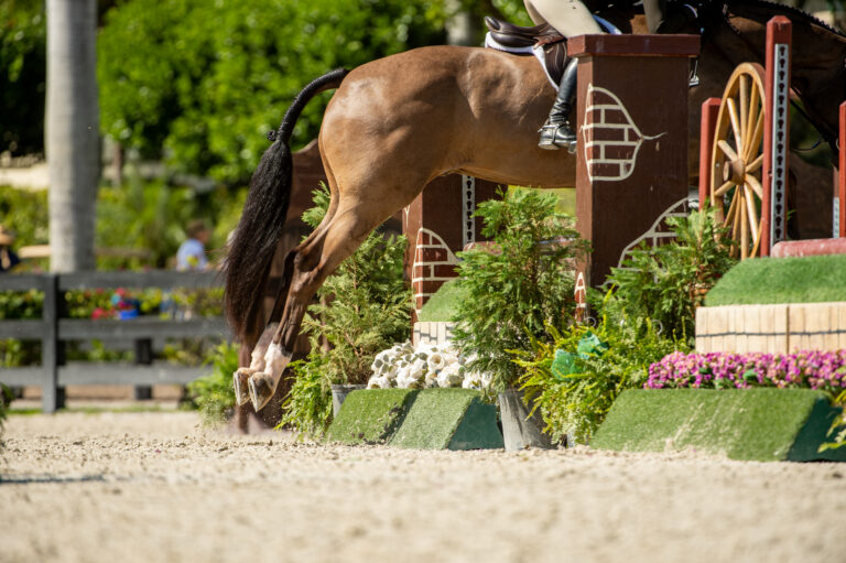 WEF-22-0226-AD4a-278 (1)